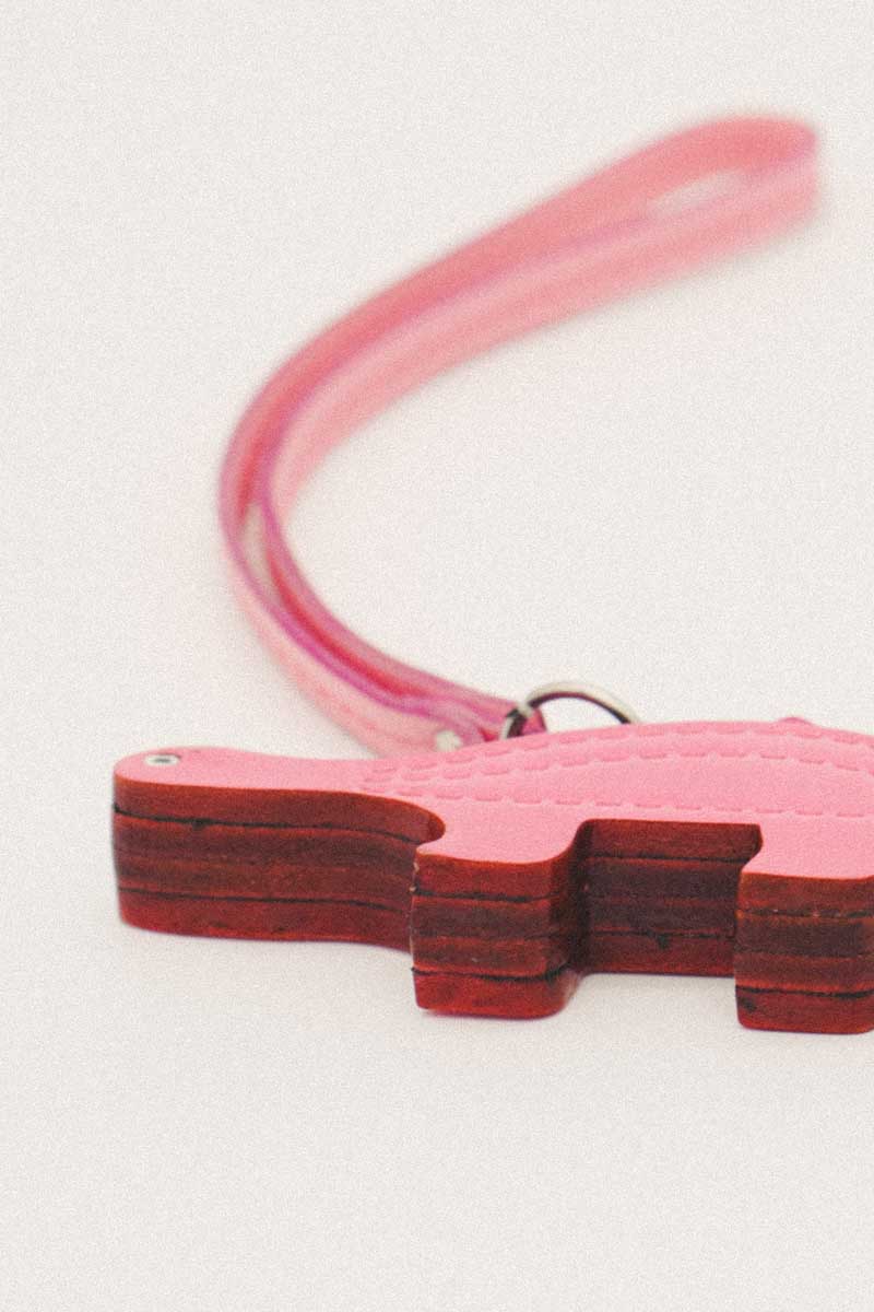 Stella The Stegosaurus