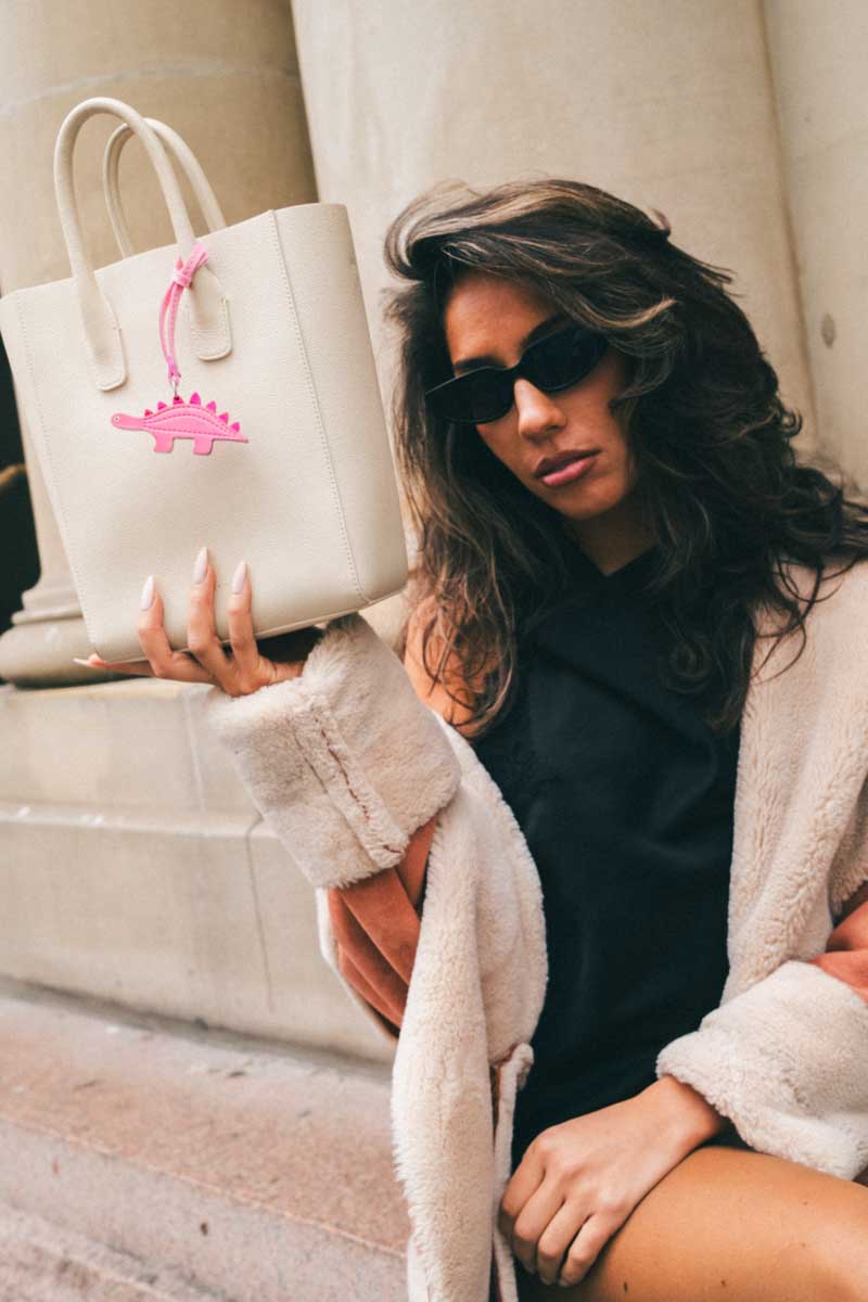 Stella The Stegosaurus